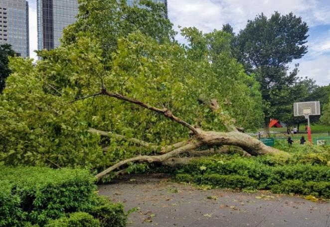 臺風(fēng)法茜襲擊日本 雨風(fēng)